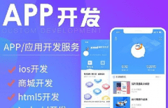 平台app开发制作